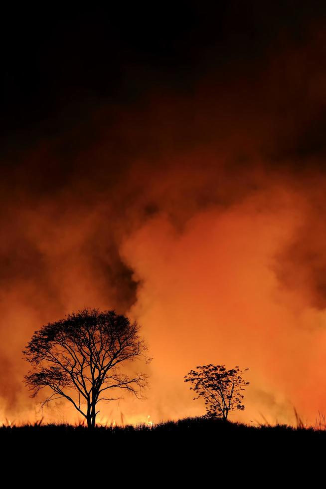 incendi boschivi che bruciavano fumo arancione e rosso riempivano il cielo di notte. foto