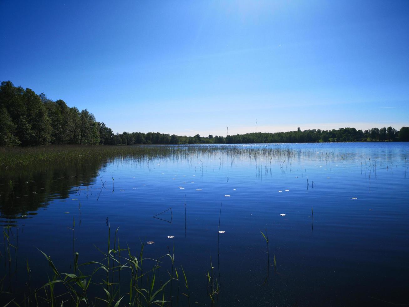 lago o fiume. estate foto