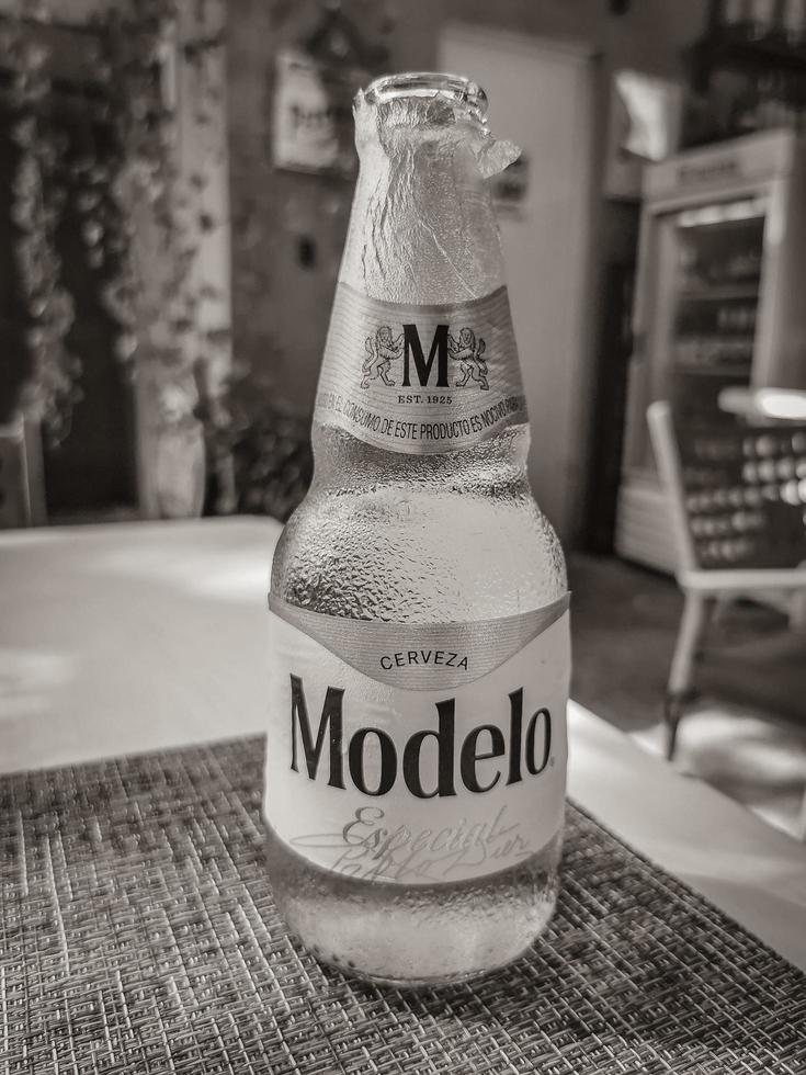 playa del carmen quintana roo mexico 2022 bottiglia di birra modelo nel ristorante papacharly playa del carmen mexico. foto