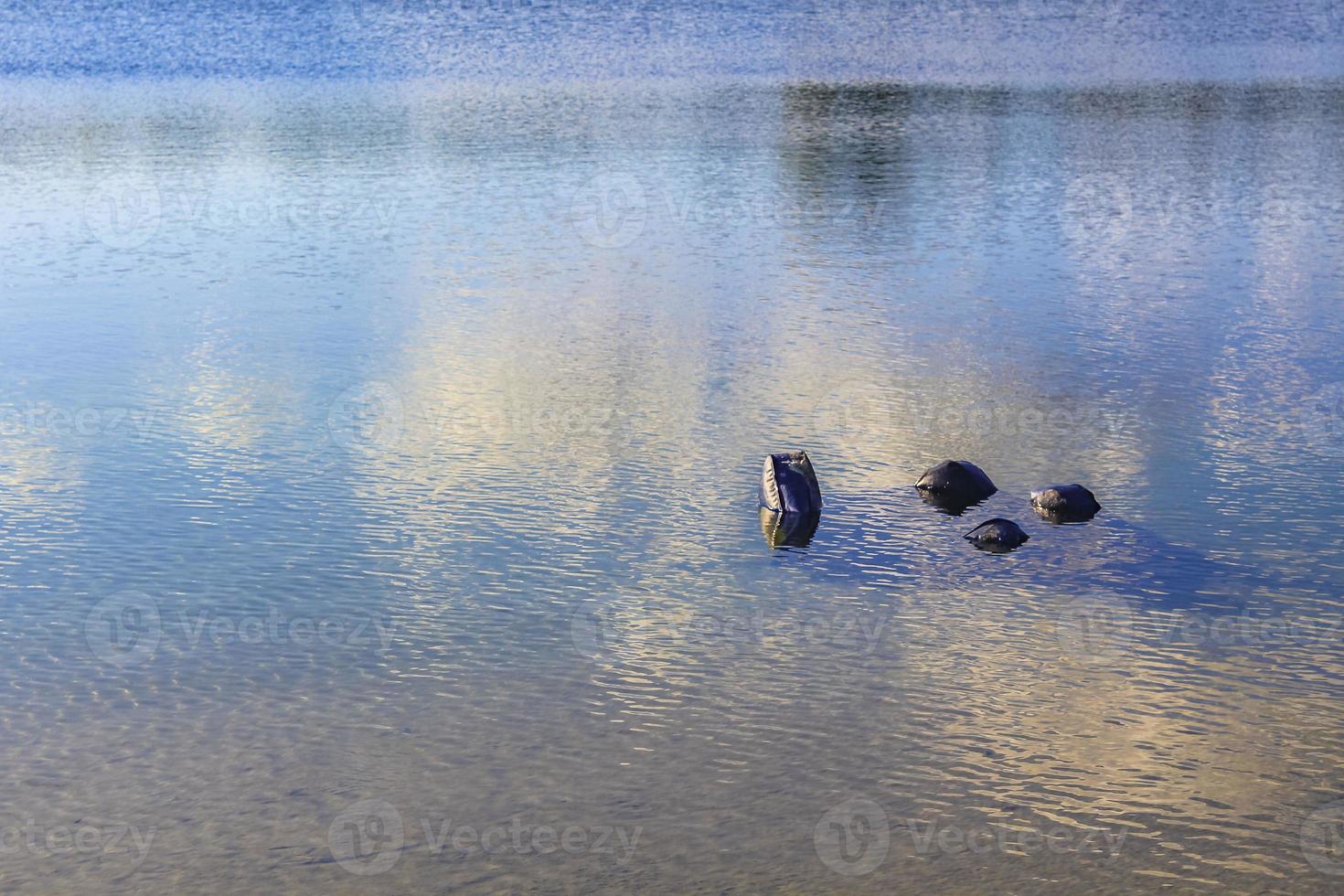 verde blu turchese acqua bellissimo lago di cava dragaggio stagno lago. foto