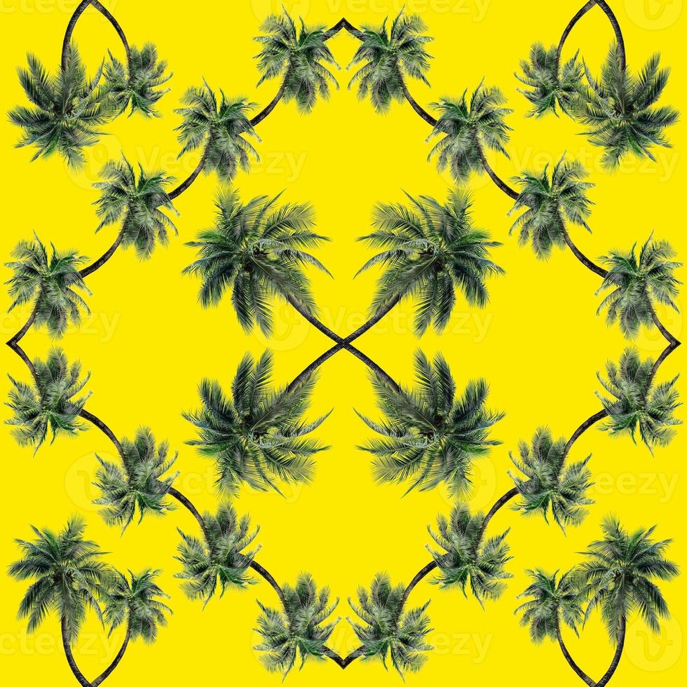 modello di foglie di palma verde per il concetto di natura, albero di cocco tropicale isolato su sfondo giallo foto