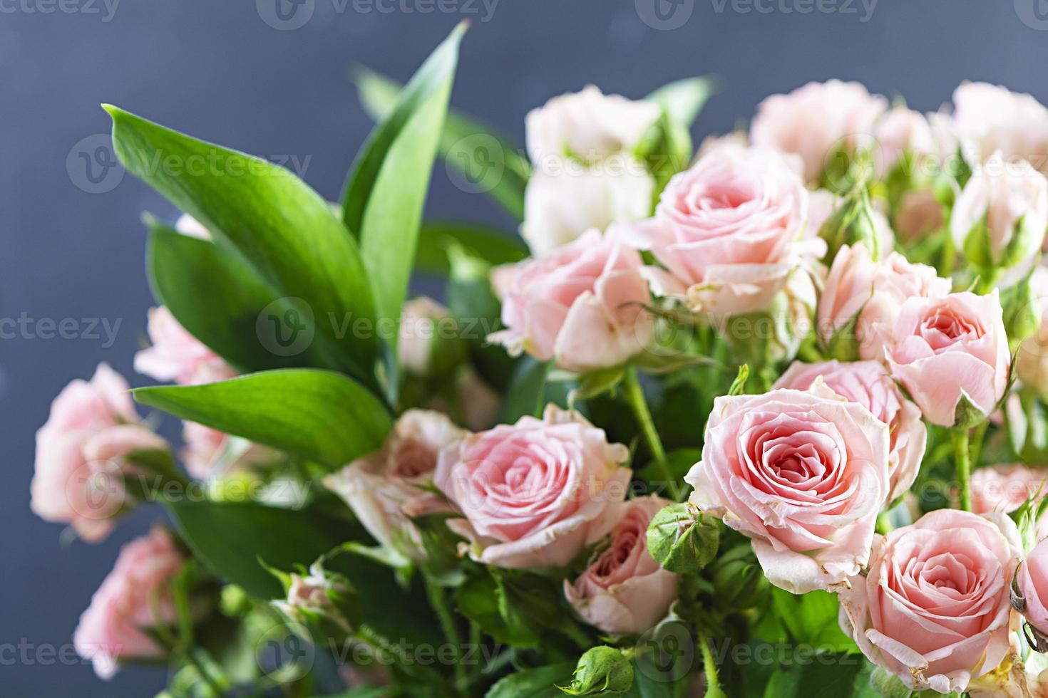 bouquet di diversi rami di rose rosa. sfondo di rose rosa foto