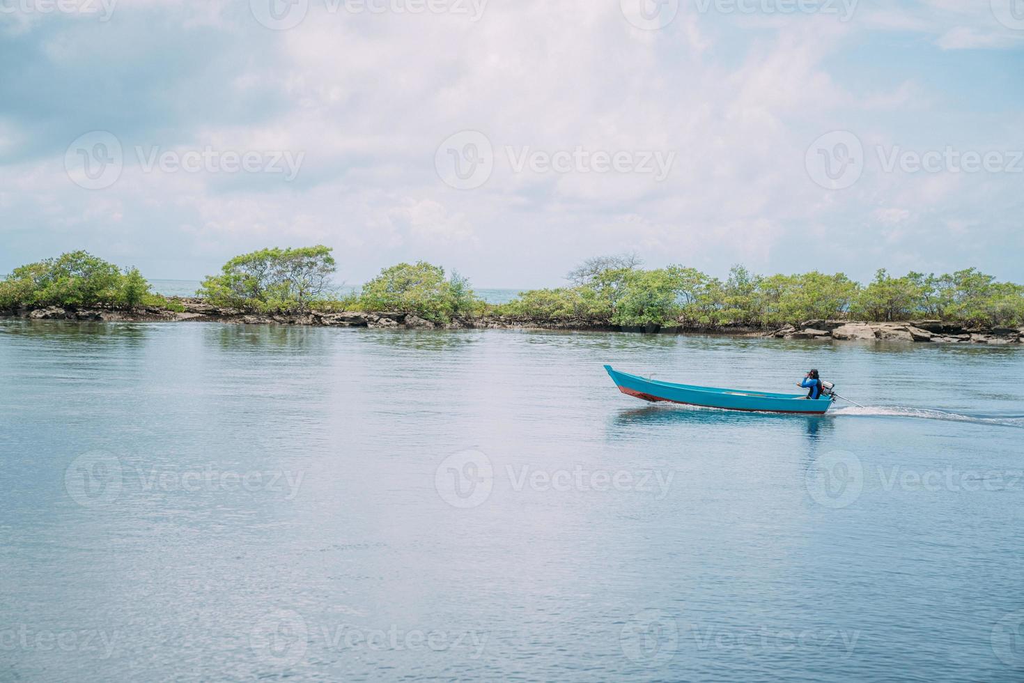 vista panoramica sul mare del tranquillo paesaggio della palude di mangrovie sulla costa di bahia, brasile foto