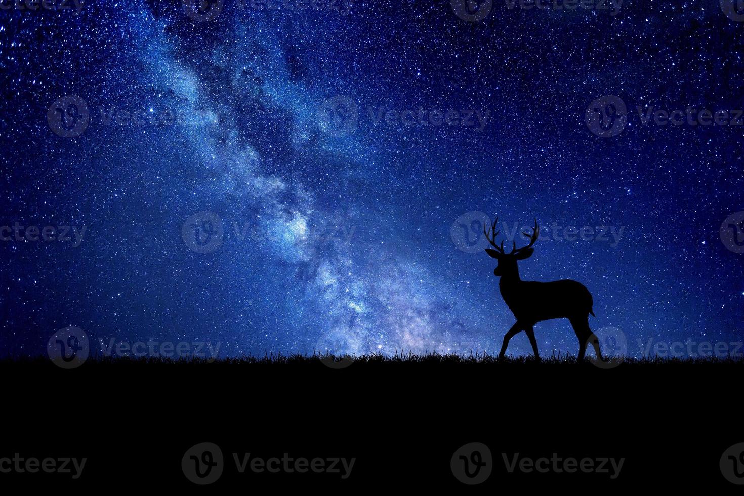 sagoma di cervo notturno sullo sfondo della via lattea. bellissime immagini di sfondo foto
