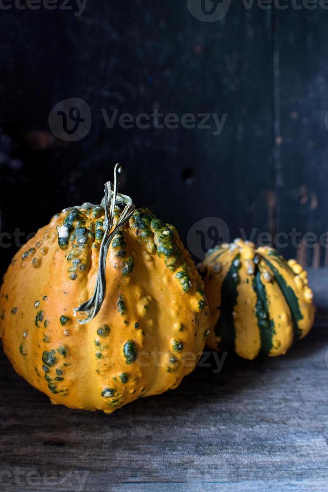 zucche di zucca da zucca autunnali su sfondo scuro foto