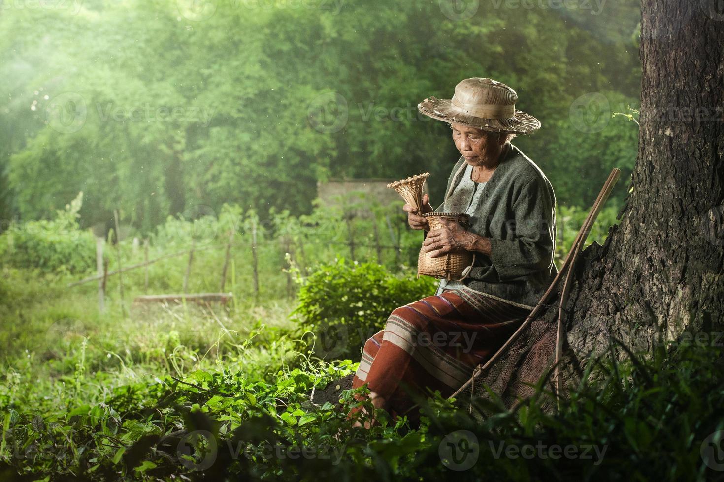 pescatore asiatico della nonna sotto il grande albero foto