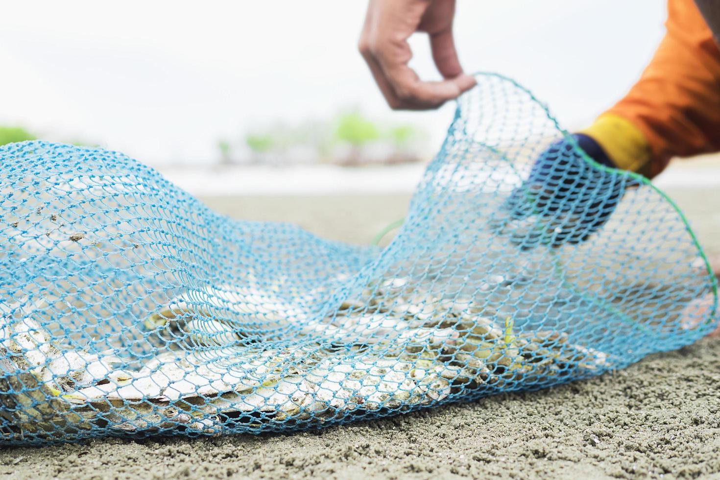 il pescatore sta mettendo il pesce nel sacchetto a rete di plastica su una spiaggia foto