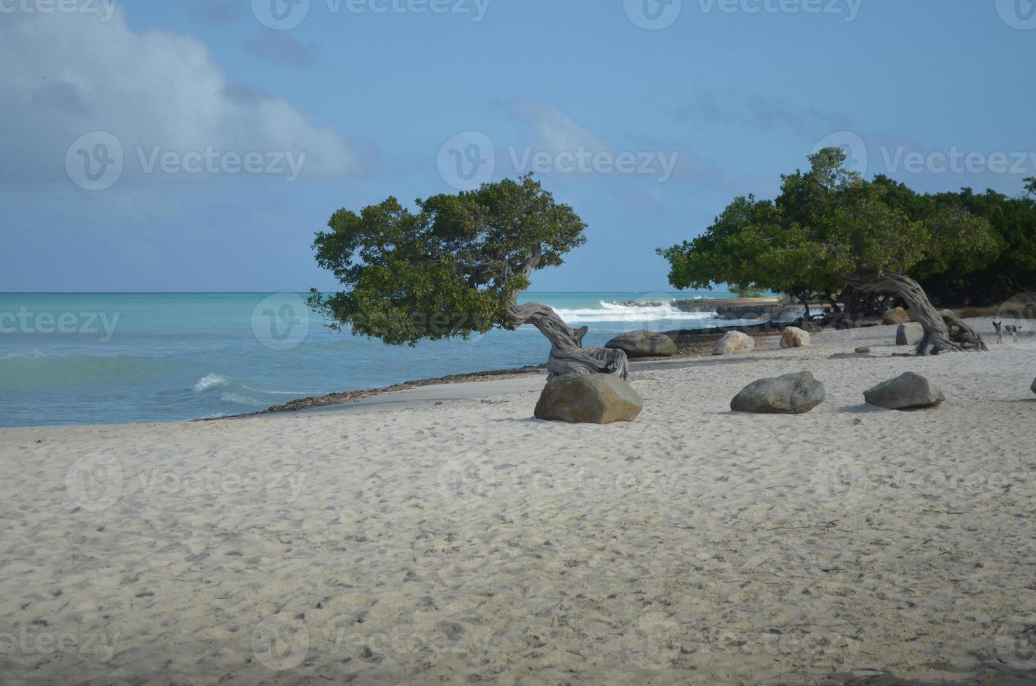 onde che si infrangono sulla spiaggia dell'aquila ad aruba foto