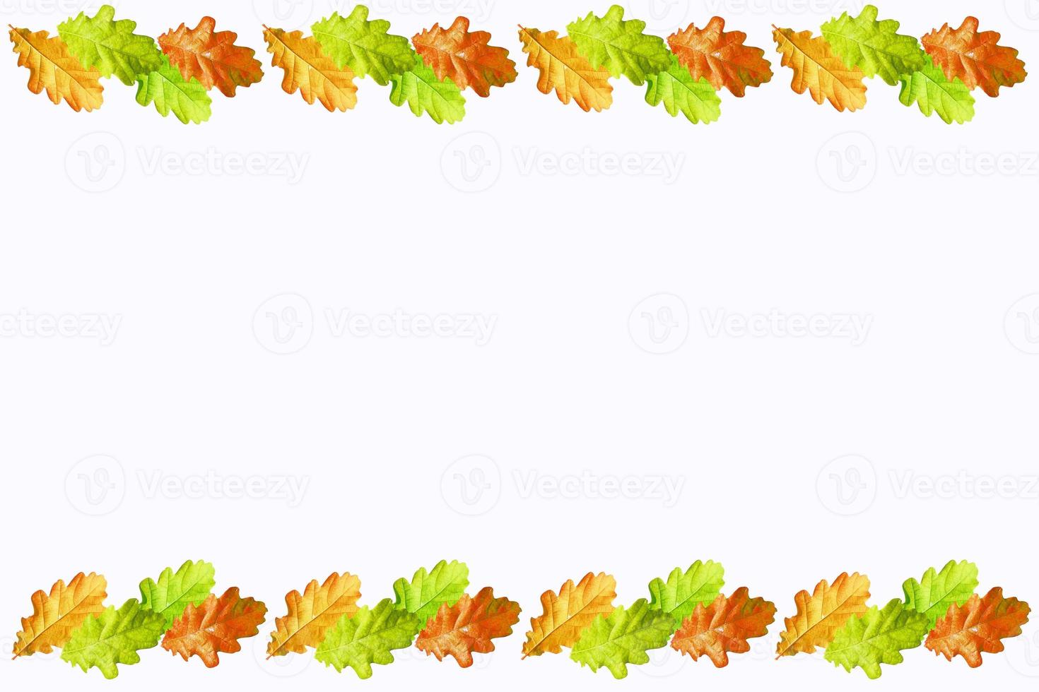foglie autunnali isolati su sfondo bianco. foto