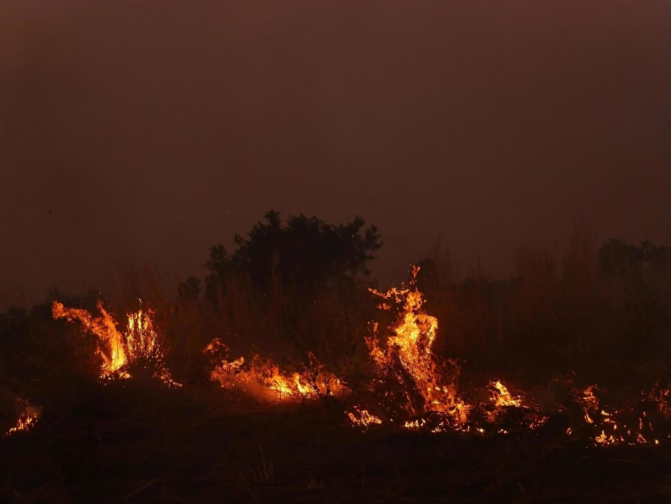 fiamma fiamma trama per forma strana fuoco sfondo carne di fiamma che viene bruciata dalla stufa o dalla cottura. pericolo sensazione sfondo nero astratto adatto per banner o pubblicità. foto