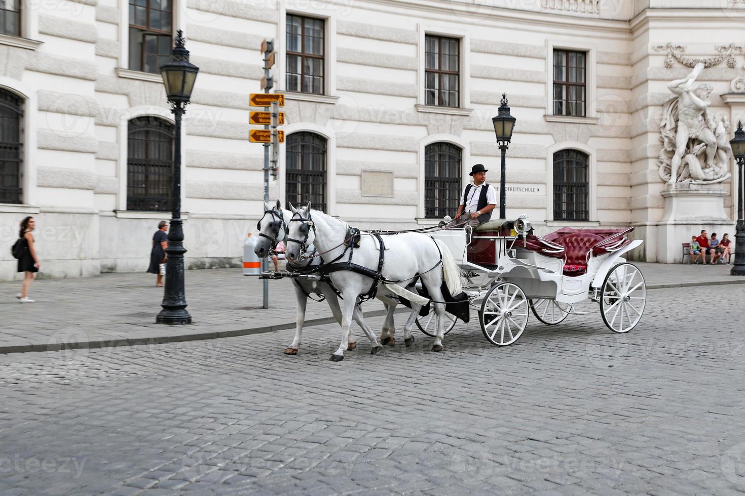 carrozza trainata da cavalli a vienna, austria foto