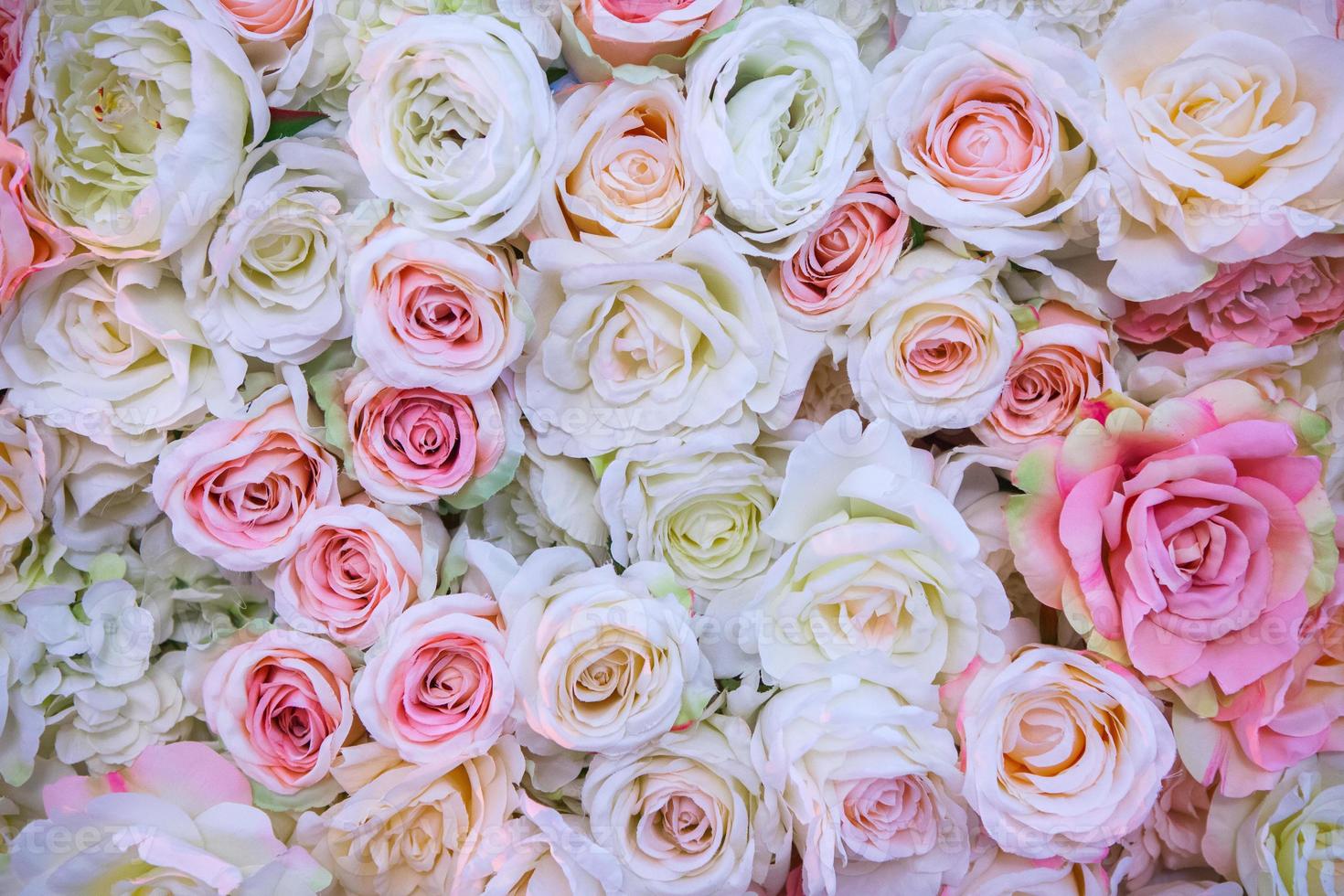 sfondo di fiori di rosa foto