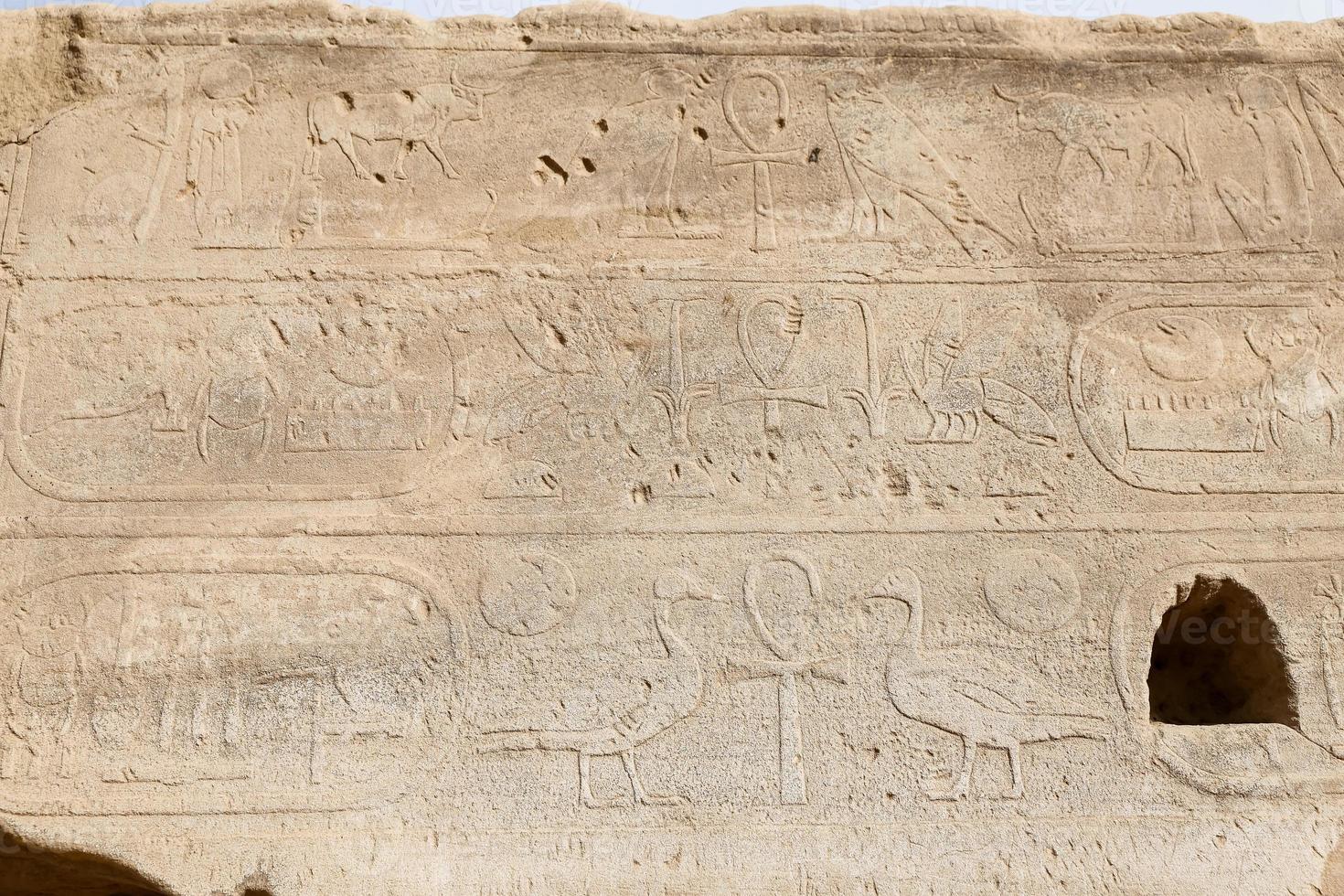 geroglifici nel tempio di karnak, luxor, egitto foto