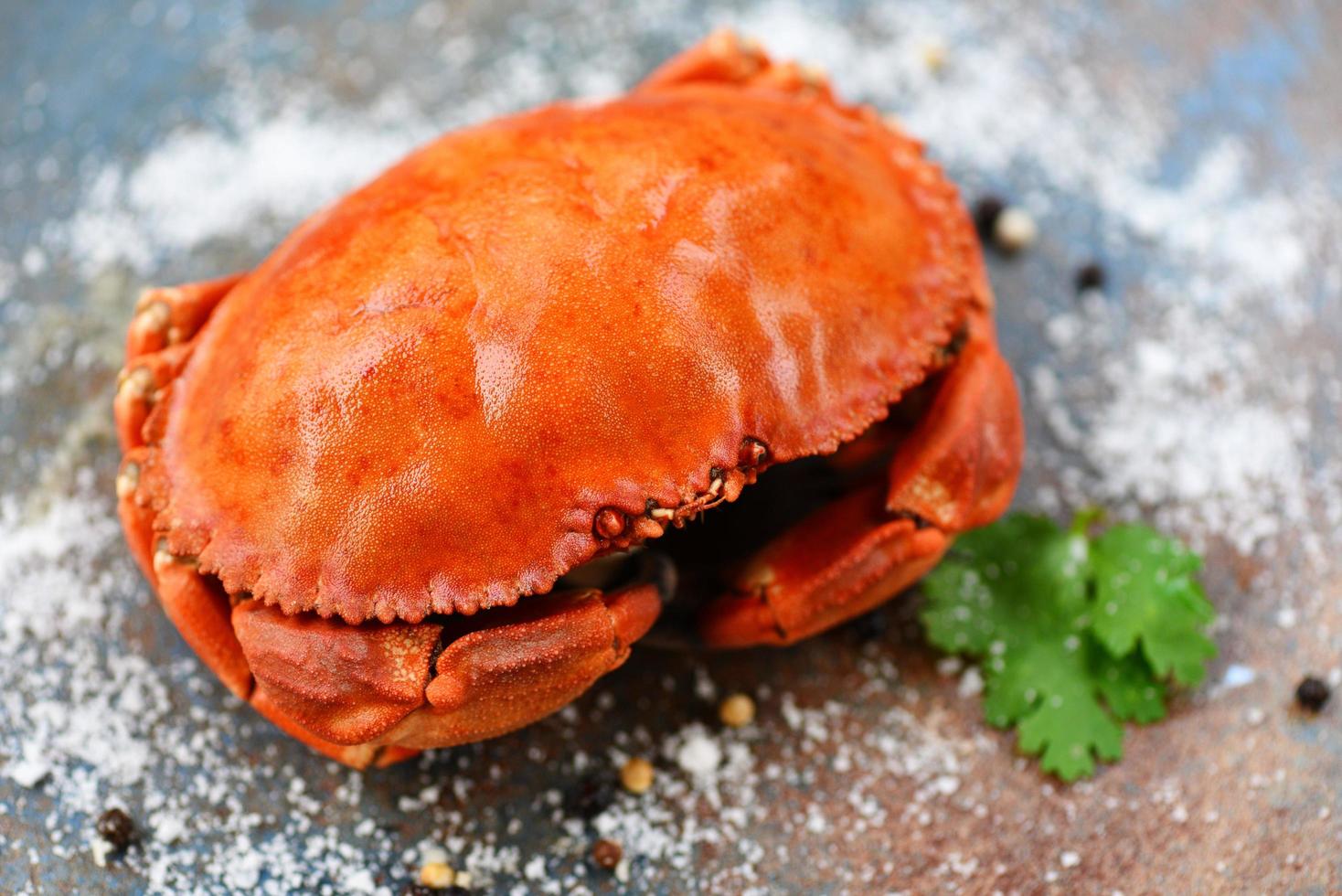 granchio fresco sul fondo della banda nera - frutti di mare di granchio cucinati foto