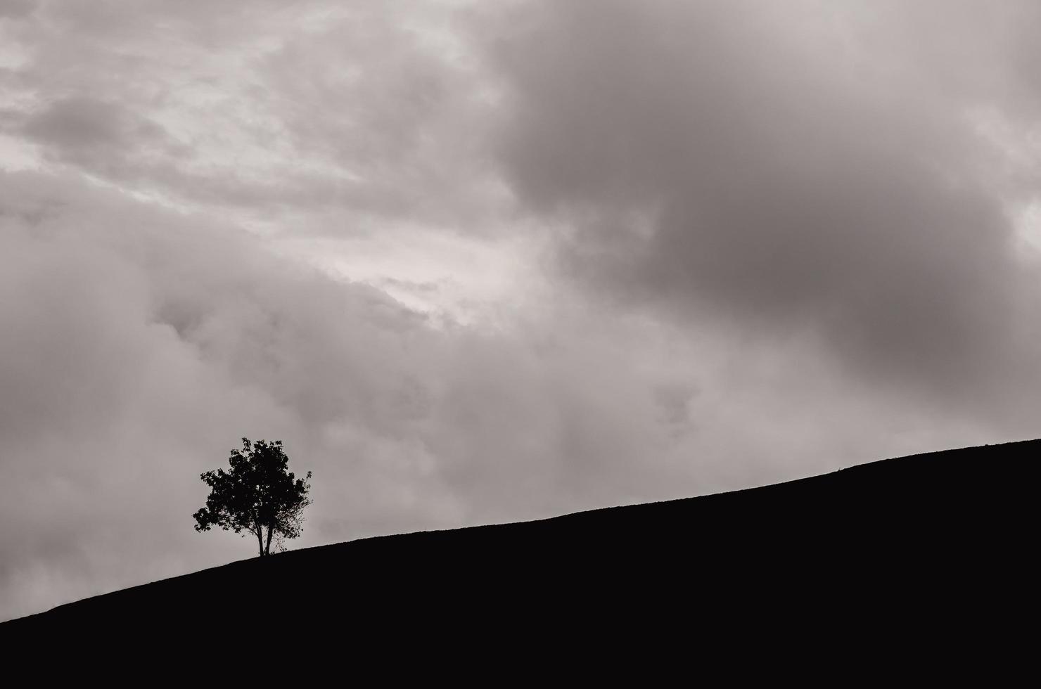 un solo albero lasciato nella montagna con una nuvola scura. foto