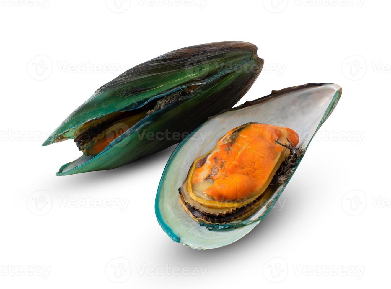 cozze isolate su sfondo bianco. con tracciato di ritaglio. foto