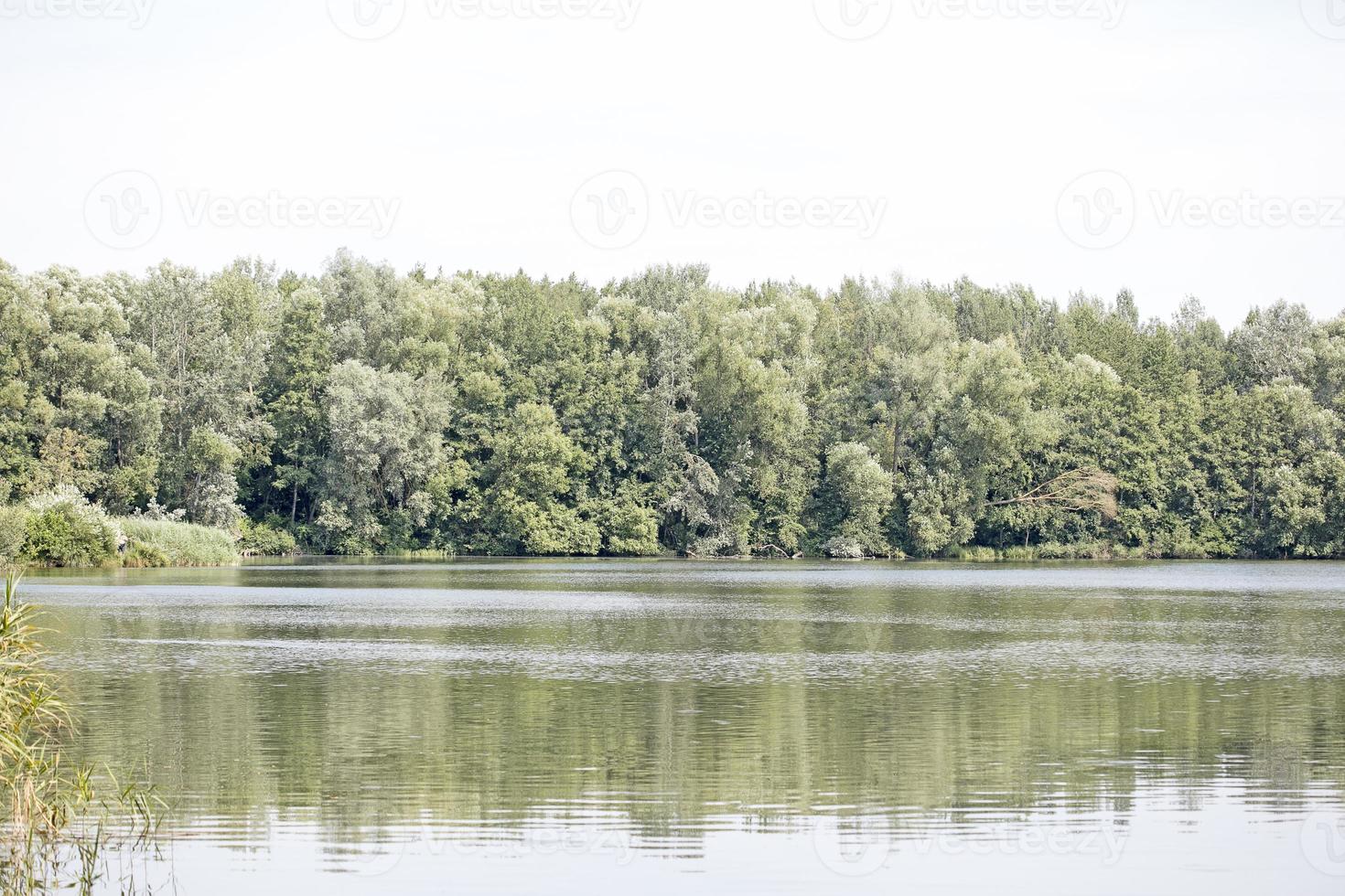 lago con foresta e campeggio estivo tende vacanze sfondo fine art stampe di alta qualità prodotti cinquanta megapixel absberg foto