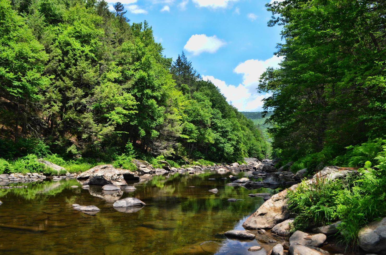 parco statale della giamaica, giamaica, vermont foto