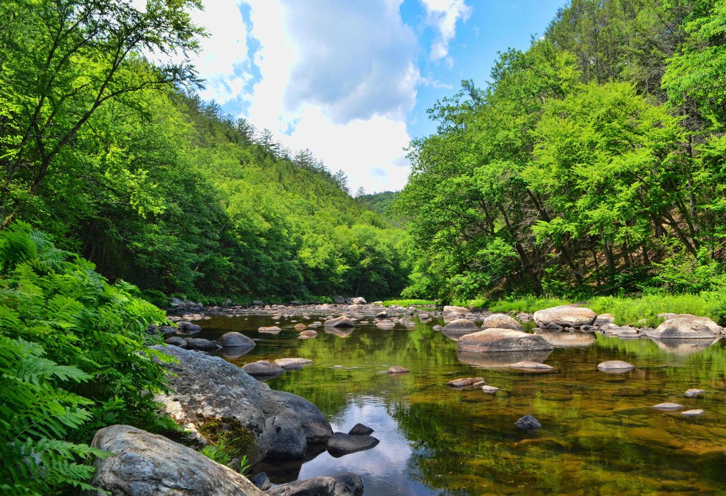 parco statale della giamaica, giamaica, vermont foto