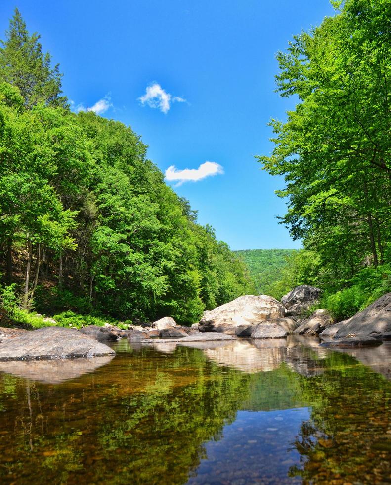 parco statale della giamaica, giamaica, vermont foto