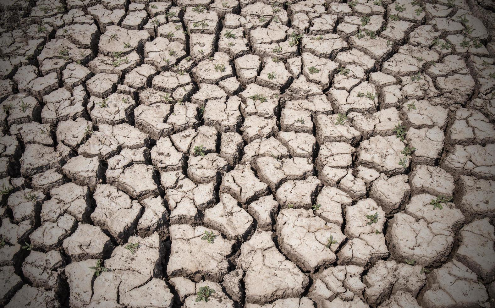 terreno asciutto arido. sfondi con texture terra siccità foto