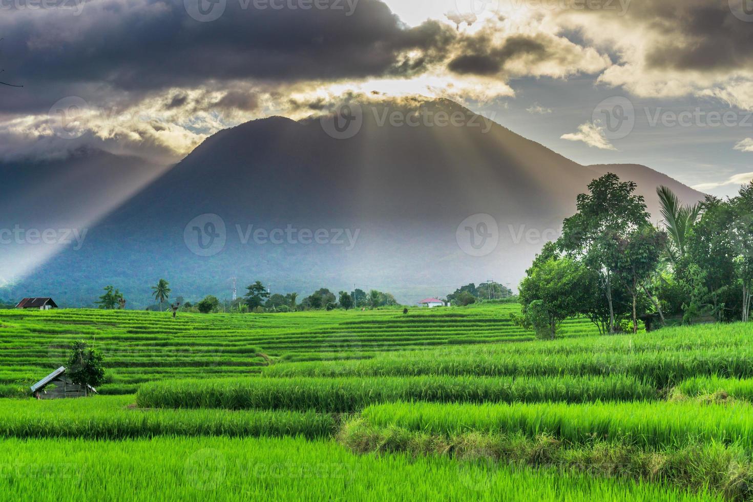 panorama naturale di risaie e montagne verdi in una mattina di sole in indonesia foto