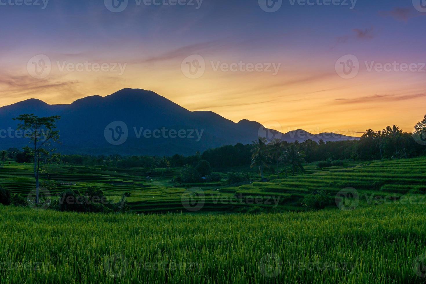 panorama delle bellezze naturali dell'asia. vista delle terrazze di riso sulla catena montuosa foto