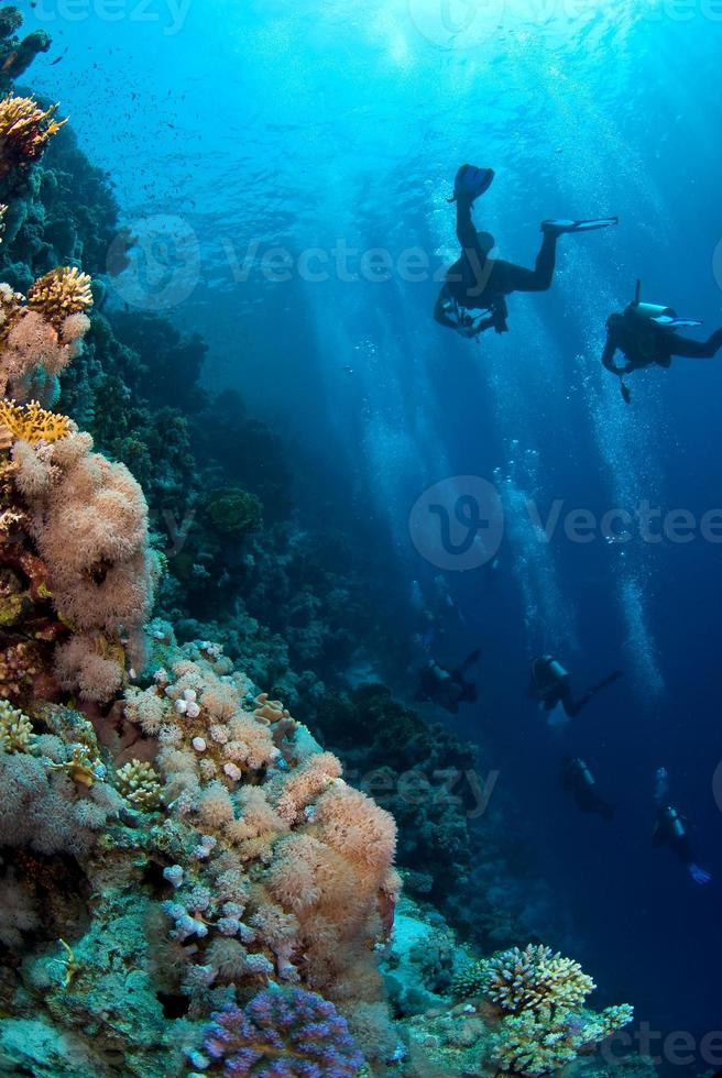 gruppo di immersioni alla scoperta della barriera corallina dell'oceano foto