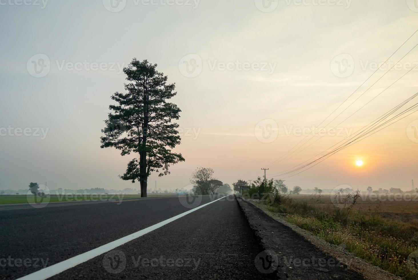 la strada asfaltata vuota lungo la risaia al mattino presto con la leggera nebbia. foto