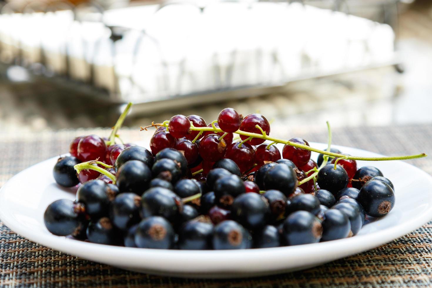 bacche di ribes nero foto