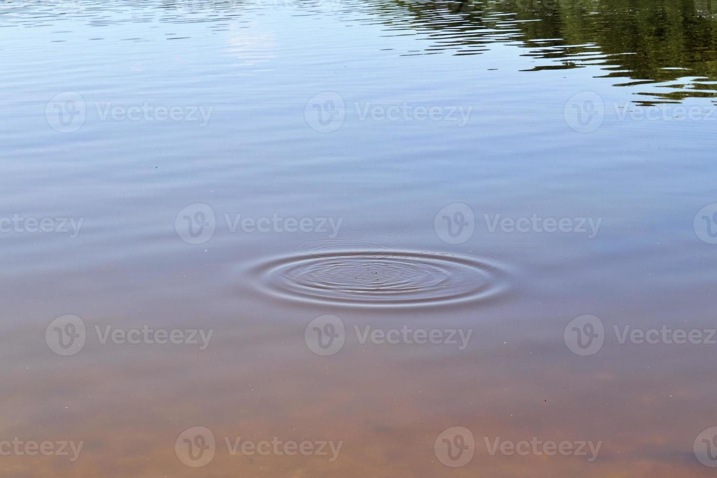 vista ravvicinata dettagliata sulle superfici dell'acqua con increspature e onde e la luce solare che si riflette sulla superficie foto