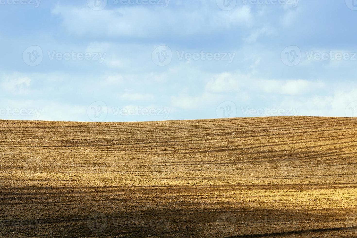 terreno arato, campo foto