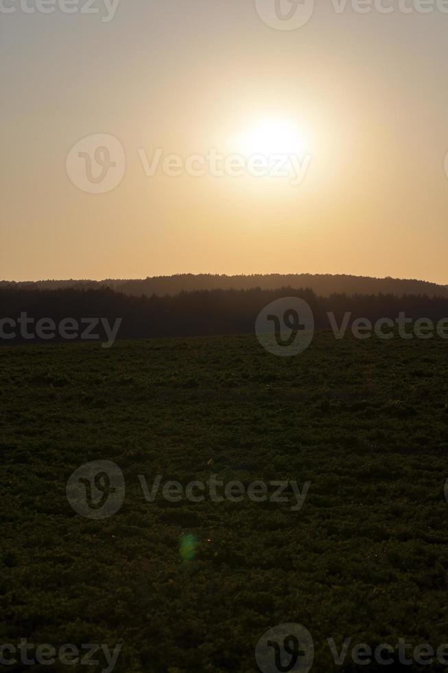 crepuscolo, campo foto