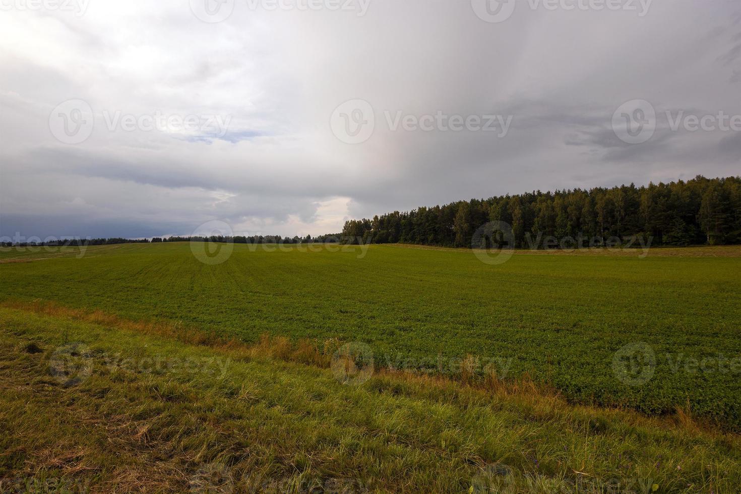 tempo nuvoloso e campo foto