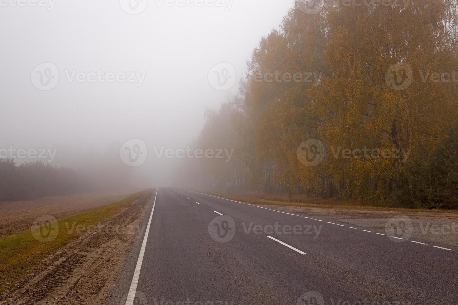 la strada d'autunno foto