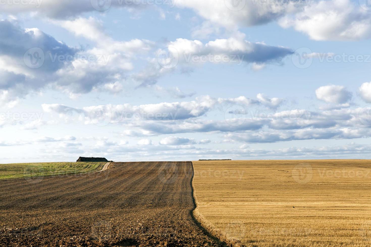 un campo agricolo foto