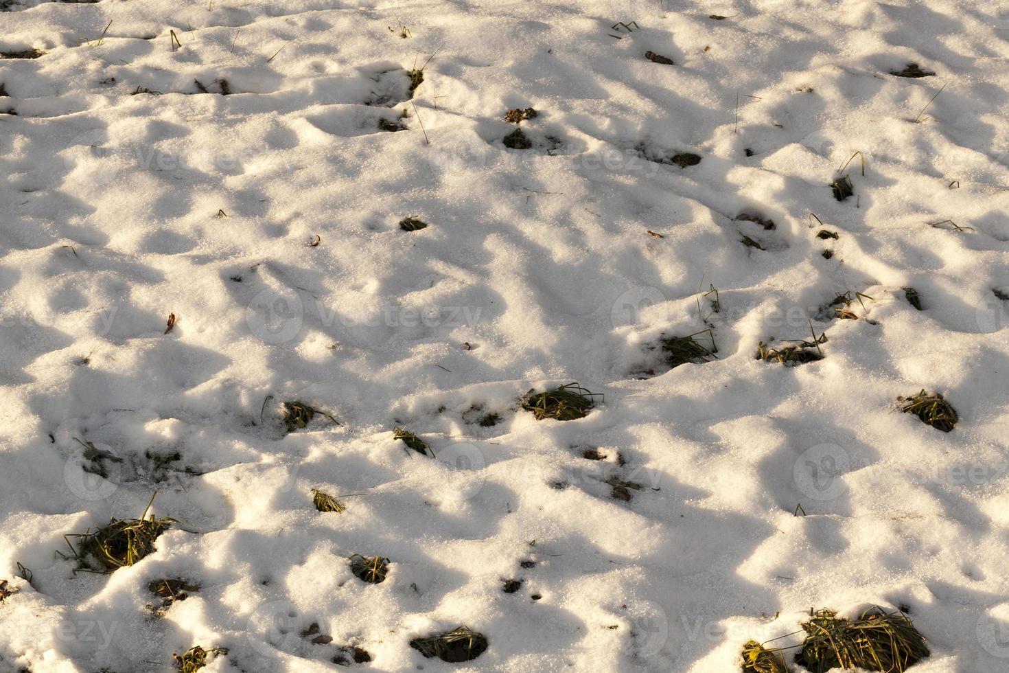 cumuli di neve in inverno foto