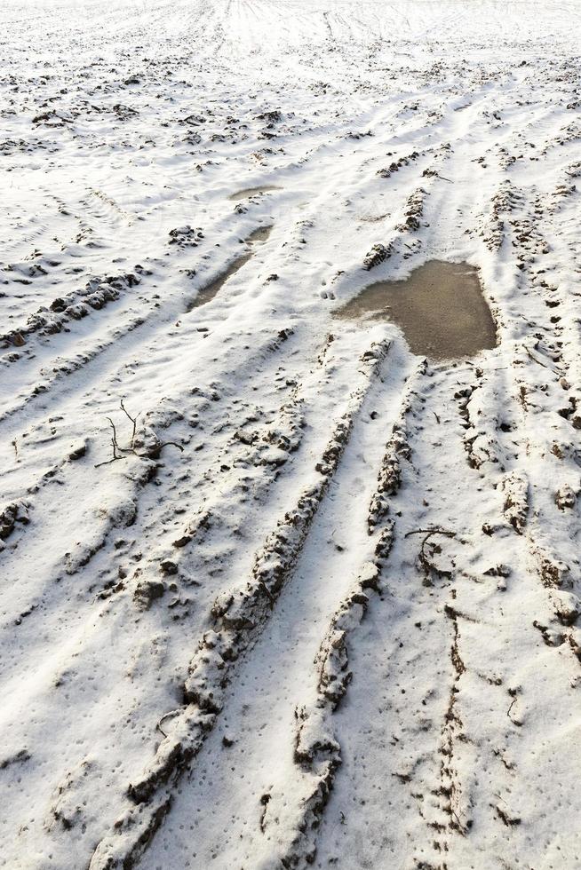 campo con la neve, la pista foto