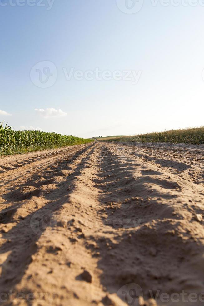 strada rurale nel campo foto