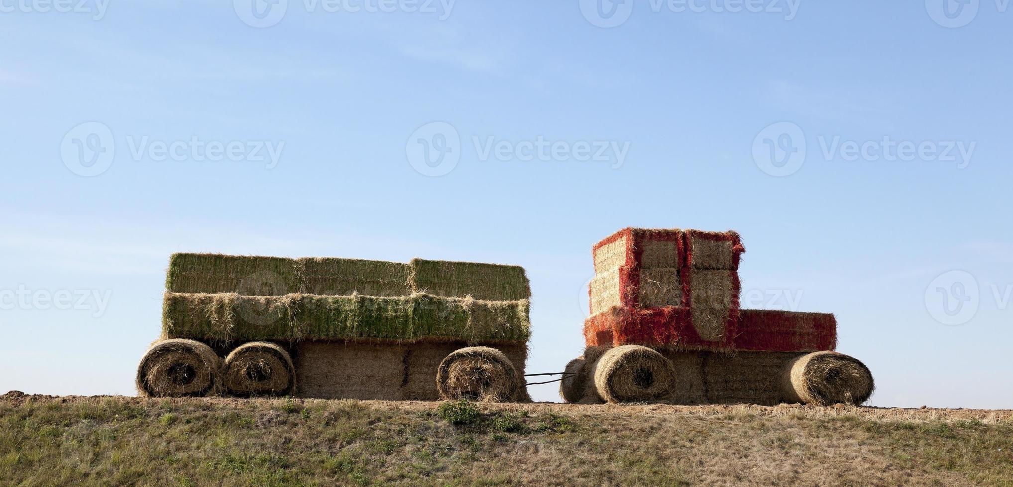 paglia del trattore, primo piano foto