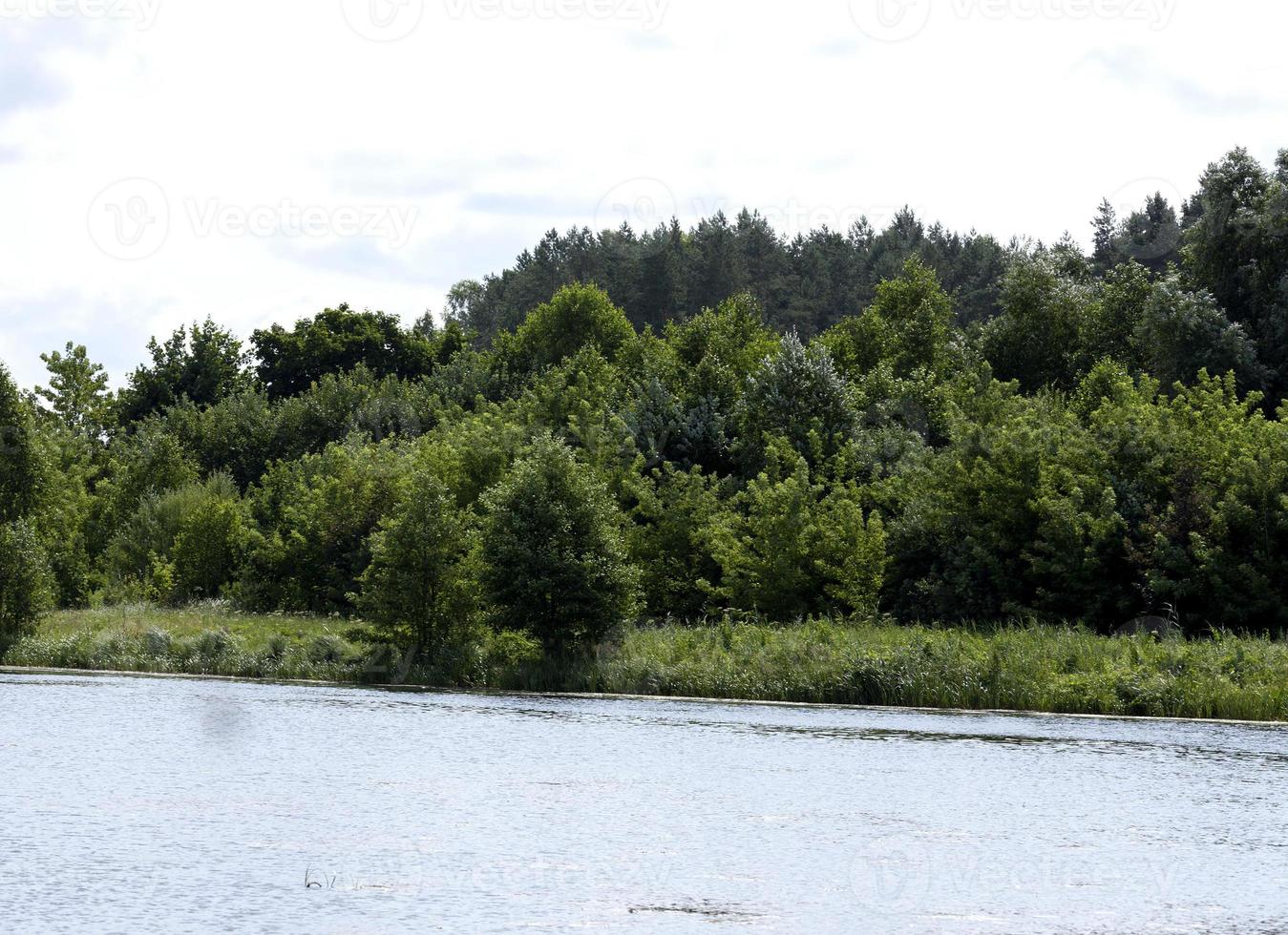 lago con acqua sporca in estate foto