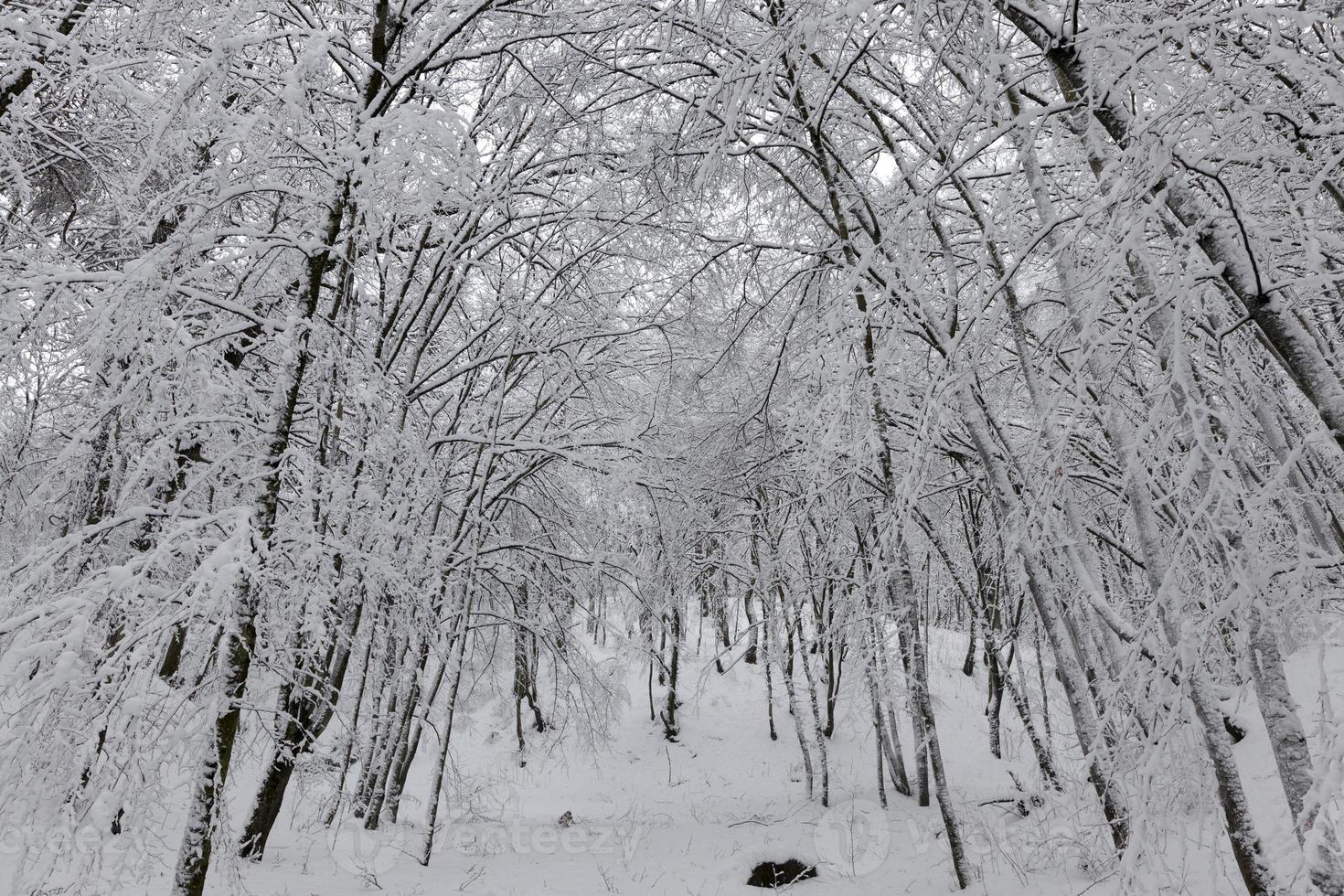 parcheggiare nella stagione invernale foto