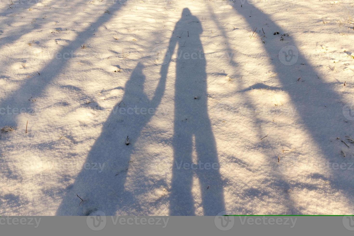 cumuli di neve in inverno foto