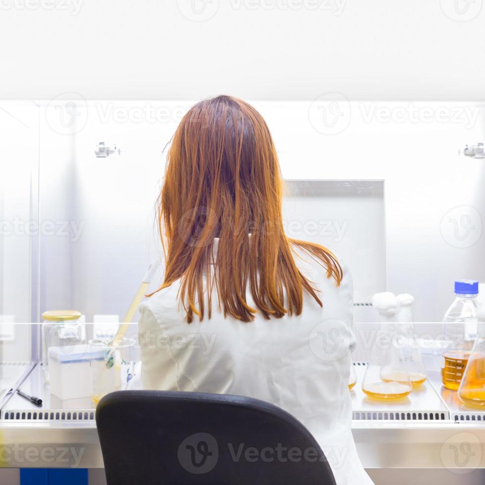 life scientist ricercando in laboratorio. foto