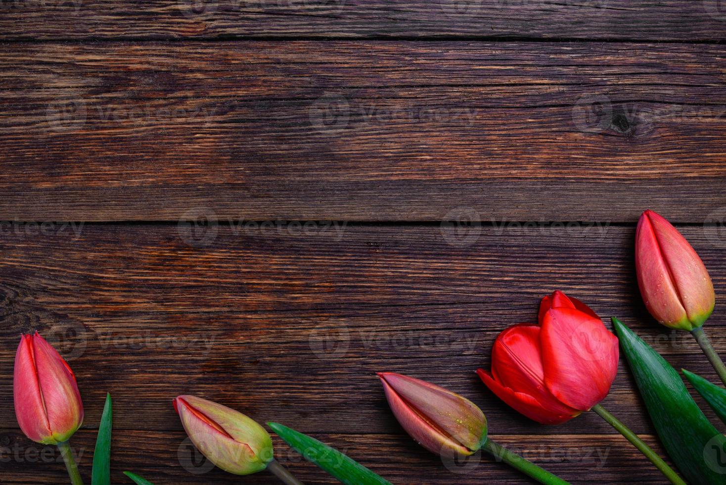 tulipani primavera fiori su fondo in legno. vista dall'alto, copia spazio. foto
