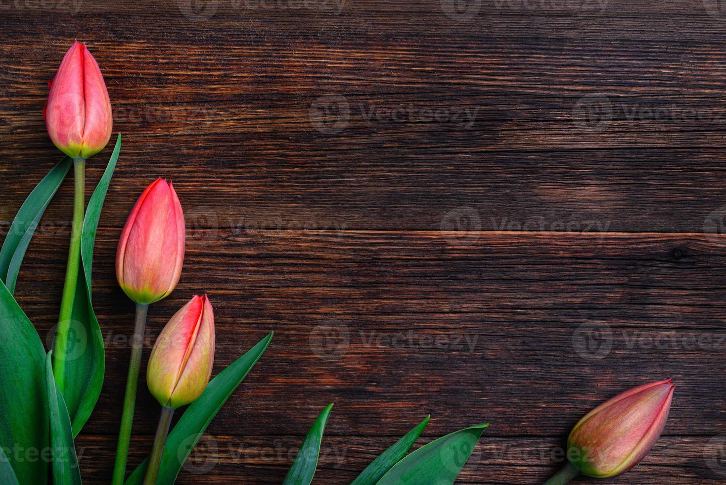 fiori di tulipani rossi sul tavolo di legno. vista dall'alto, copia spazio. foto