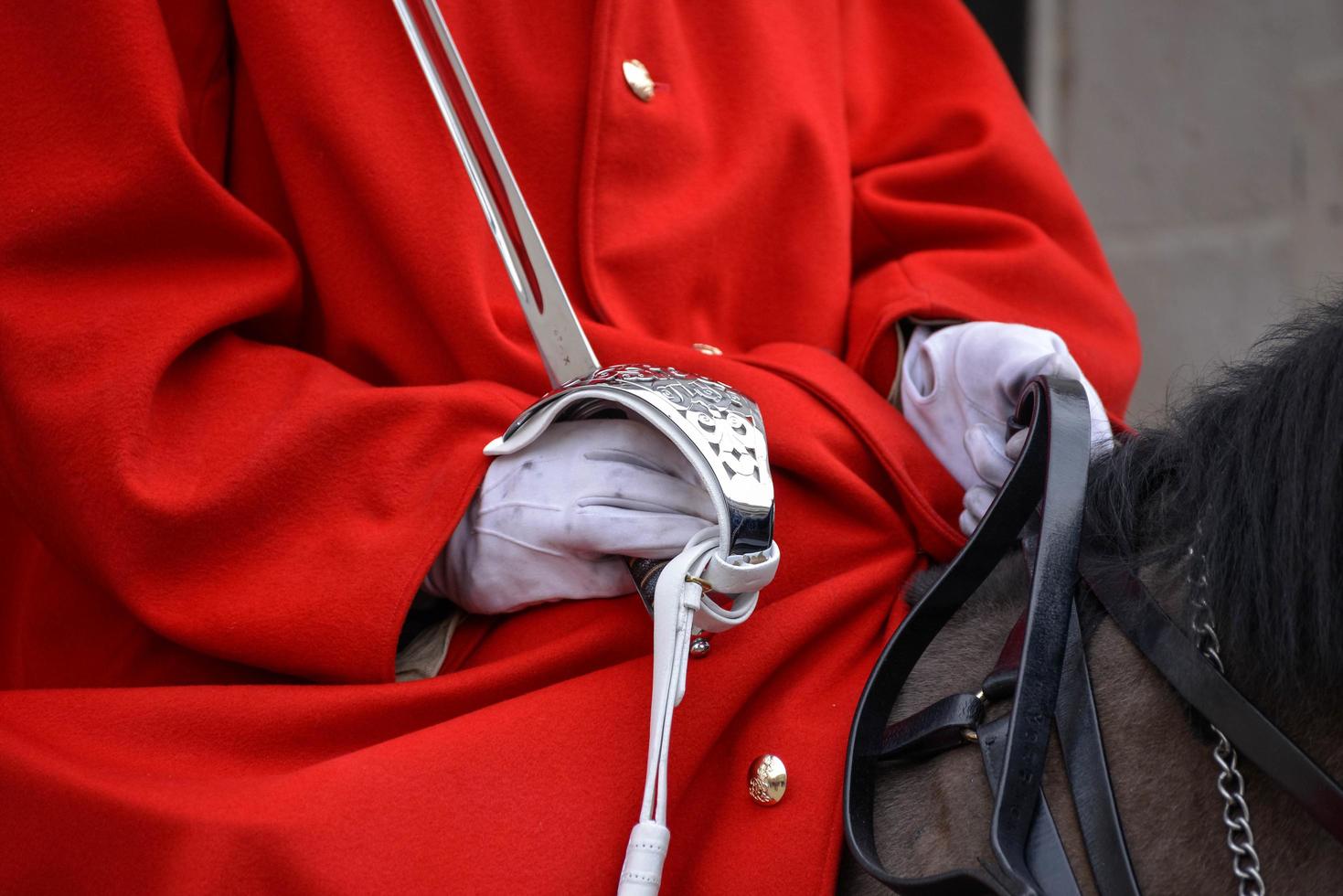 Londra, Regno Unito, 2013. bagnino della cavalleria domestica delle regine foto