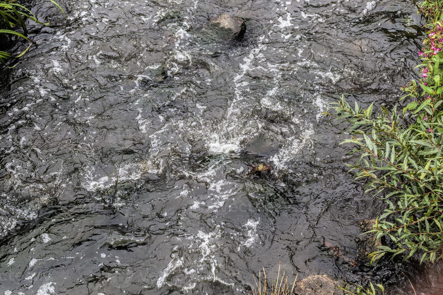 primo piano di un piccolo fiume foto