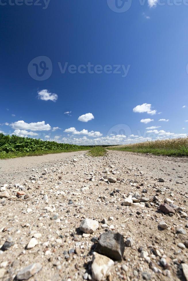 strada di campagna, campo foto