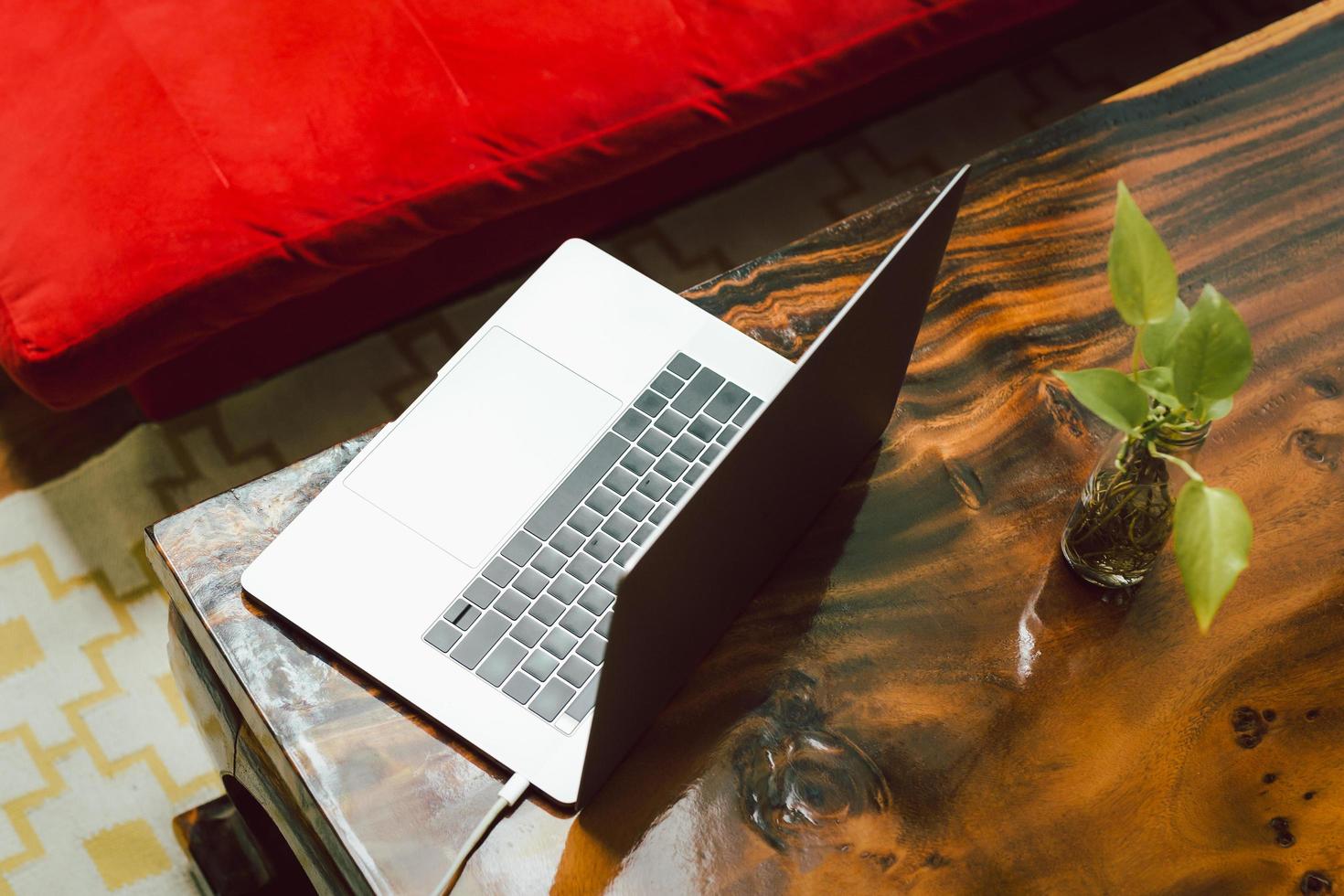 vista dall'alto del laptop con pianta verde sul tavolo di legno. foto